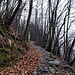 mulattiera verso i Monti di Caviano