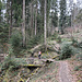 An der Nordseite des Taubenberges