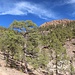 unterwegs in wunderschöner Landschaft