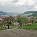 Ausblick über Haslach und das Kinzigtal hinunter vom Wandrand (Rotkreuzhütte auf OpenStreetMap).