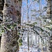 Detail 1