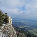Sicht ins grüne Mittelland.