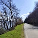 sulla strada verso Pella