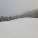 Schwarzenberg