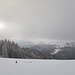 Die Sonne drückt