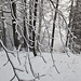 Winter!