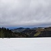 Weiss über grün