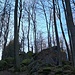 Wir folgten den Steilkurven der Strecke in westlicher Richtung bergauf. Querwege ignorierten wir, bis es auf etwa 425 Metern Höhe hincht mehr anders ging: Eine Felsgruppe lockte uns - enttäuschte aber gleich darauf, denn groß ist sie nicht.