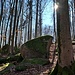 ...um den ersten Granitfelsen zu folgen. Von Fels zu Fels ging es kraxelnd weiter.