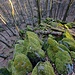 Die längste Felspassage unserer Tour! Wir kletterten die Felsen hinunter und darunter den ganzen Felshang ab.