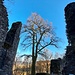  Sie gehörte den Herren von Crumbach und Rodenstein, deren Stammsitz sich im nahegelegenen Fränkisch-Crumbach befand. Sie wurde um 1240 als Trutzburg gegen das ca. vier Kilometer entfernte Schloss Reichenberg errichtet.