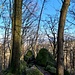 Der Wildweibchenstein ist eine weitere Felsformation aus Granitblöcken, die sich im Wald den steilen Hang hinunterzieht. Ihr Name leitet sich von einer Sage ab, die sich um diese Steine rankt.