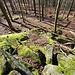 Hier ziehen sich mehrere Felsrippen den Bergrücken herauf. 