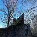 Trotz ihrer ungünstigen Lage wurde die Burg nicht durch kriegerische Ereignisse zerstört. Eine Skizze aus dem Jahr 1634 zeigt sie noch in intaktem Zustand. Damals wurde sie von Adam von Rodenstein und seiner Familie bewohnt. Doch die starben 1635 an der Pest, und danach war die Burg nicht mehr bewohnt. Schließlich begann man damit, die Steine der Burg als Baumaterial zu verwenden.