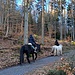 Reiterinnen am Wildweibchenstein.
