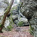 Blick in das schluchtartige Bachtobel zum Wasserfall.