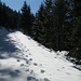 Noch weiter oben ist es richtig Winter geworden und ich stapfe durch den tiefen Schnee.