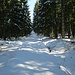 Jetzt stapfe ich auf einem noch unbegangenen Weg durch winterliches Ambiente.