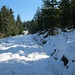 Weiter auf der Hochfläche der Lettstädter Höhe, Richtung Glaswaldseeblick.