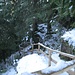 Auf dem Rückweg wählte ich diesen steilen Abstiegspfad, der an der Teufelskanzel vorbeiführt. Durch Schnee und Eis waren die Stufen heute sehr rutschig und das Geländer war mir sehr willkommen.