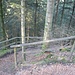 Jetzt steige ich über einen mit Geländer und teilweise Treppenstufen gesicherten Steig entlang der Griesbacher Wasserfälle abwärts. Links außerhalb des Fotos sind ein paar kleinere Wasserfälle, der größte folgt ganz unten, siehe nächstes Foto.