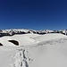 viele Wege auf dem Leuggelstock
