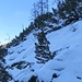 Latschenkrampf