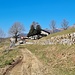 <b>Ore 10:40, all'Alpe Bonello (1100 m).</b>