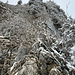 Blick vom Umkehrpunkt nach oben auf die letzten Meter des Klettersteigs.