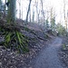 Aufstieg zum Gaisbergturm