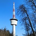 Sendemast auf dem Königstuhl