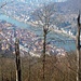 Blick auf Heidelberg