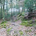 Aufstieg zum Königstuhl