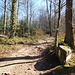 Aufstieg von der Blockhaushütte  zum Königstuhl 