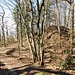 Obere Burg
