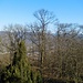 Blick vom Gaisbergturm nach Heidelberg