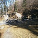 Sägaweiher