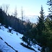 Bei der Hütte hat es doch noch einiges an Schnee.