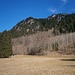 Kenzile