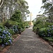 Weg zum Mount Macedon Memorial Cross. Auch hier begeistern mehr die Bepflanzung als die Aussicht.