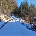 Auf etwa 1000m liegt noch wenig Schnee