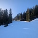 Pistenschneisse zur Krinnenalpe