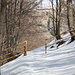 ingresso all'Alpe Rovina