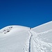 Flache Kuppe des Lenker Wildstrubels 3244m 