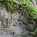 Löcher von Muschelschalen