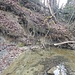 der Stichbach sägt unten an, der Waldboden rutscht nach