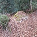 an der Oberkante des Tobels, aber schon jenseits der Seitenmoräne