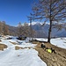 Relax sopra l'Alpe Cermine, area altalene e picnic