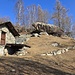 Mulattiera tratto Alpe Orlo - Alpe Cermine