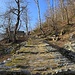 Mulattiera tratto Donadivo - Alpe Orlo